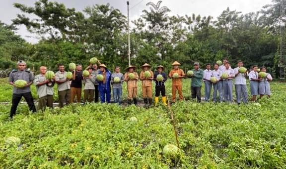 Semangka Demplot Pemantik Berbuah Cuan, Perkuat Pasokan MBG